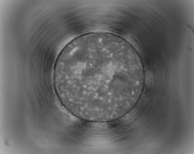 X0000099410856200805231602