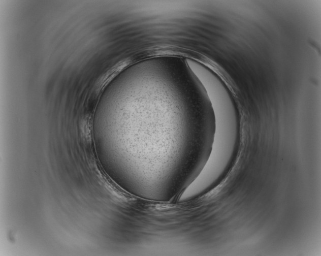 X0000099410857200805231602