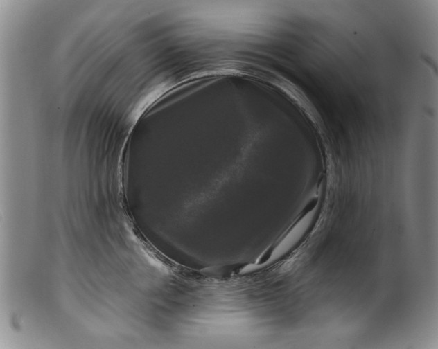 X0000099410858200805231602