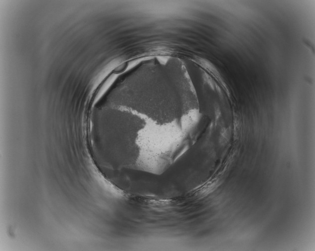 X0000099410859200805231602