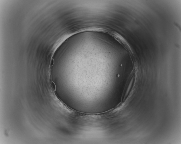 X0000099410860200805231602