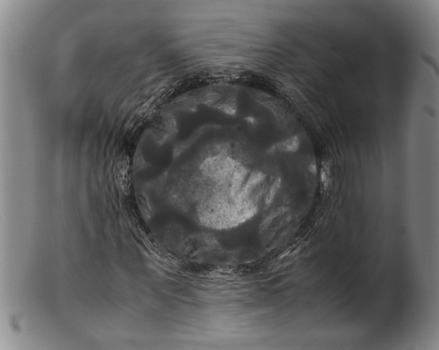 X0000099410867200805231602