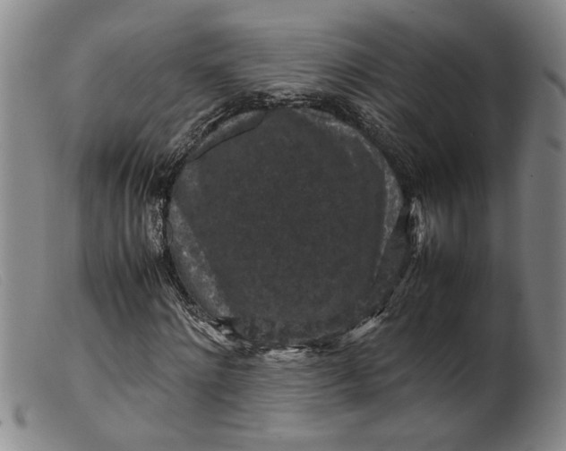 X0000099410868200805231602