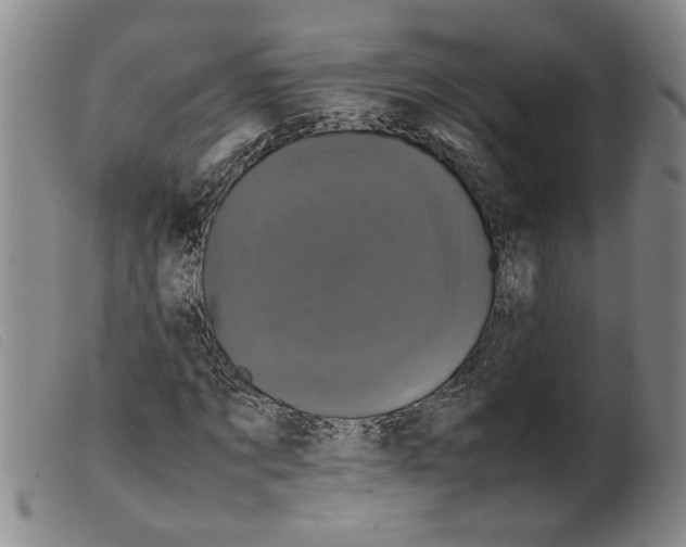 X0000099410869200805231602