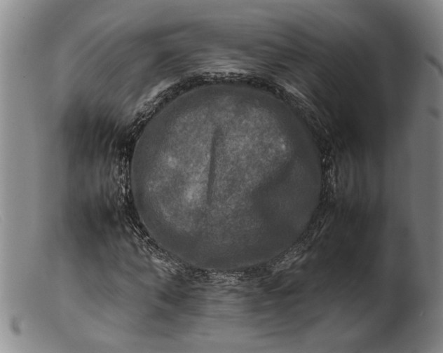 X0000099410870200805231602