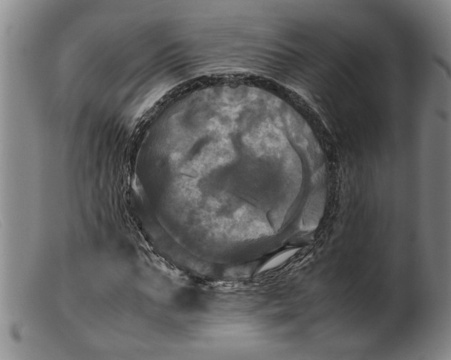 X0000099410871200805231602