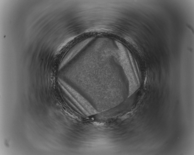 X0000099410872200805231602