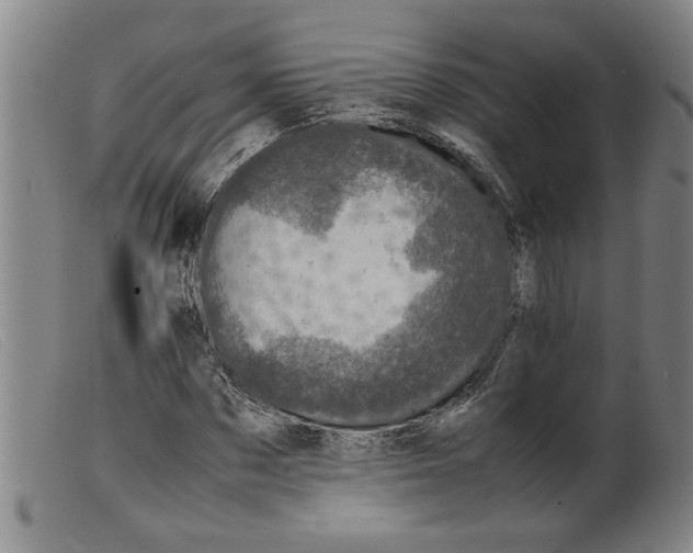 X0000099410873200805231602