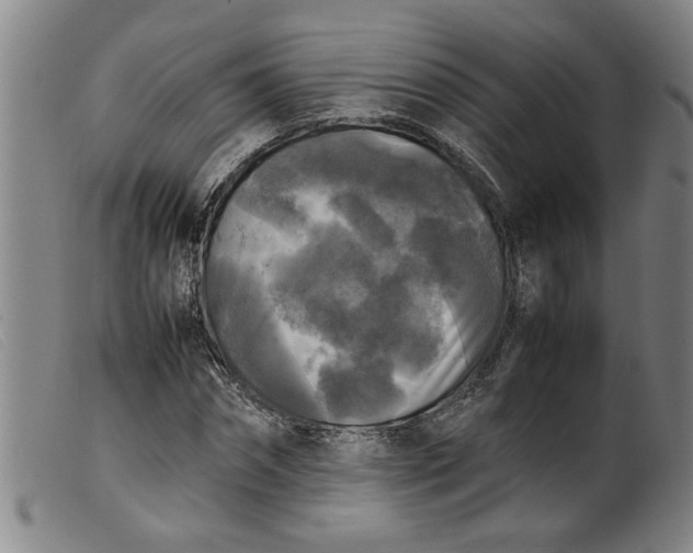 X0000099410874200805231602