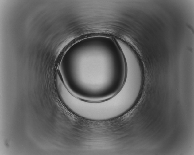 X0000099410875200805231602