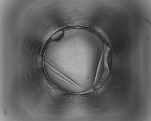 X0000099410876200805231602