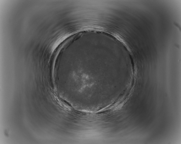 X0000099410877200805231602