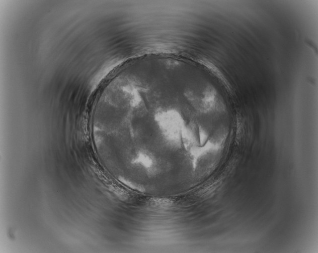 X0000099410878200805231602