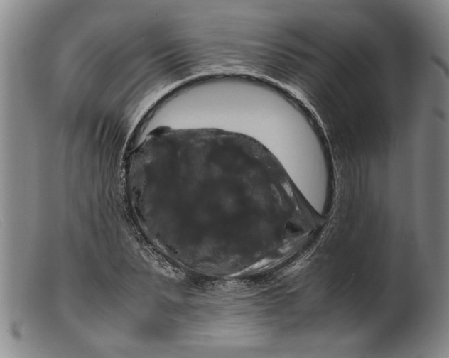 X0000099410879200805231602