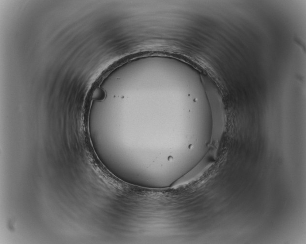 X0000099410880200805231602