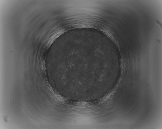 X0000099410881200805231602