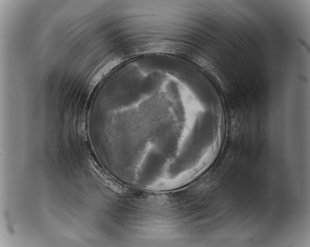 X0000099410882200805231602