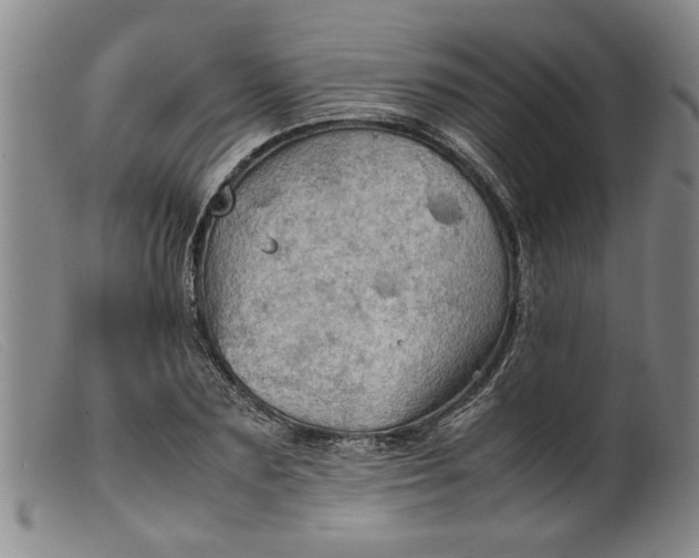 X0000099410883200805231602