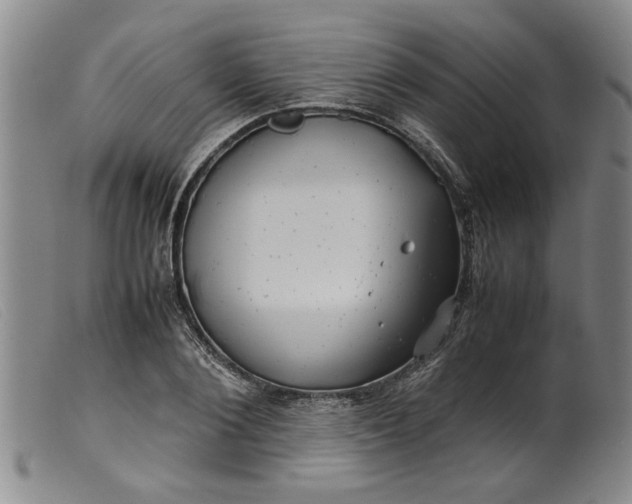 X0000099410884200805231602