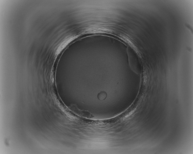 X0000099410885200805231602