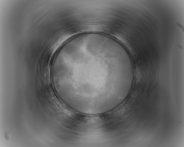 X0000099410886200805231601