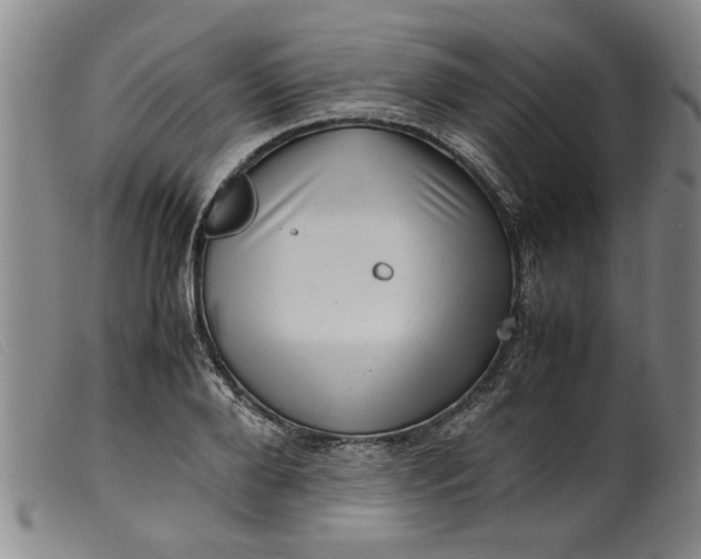 X0000099410888200805231601