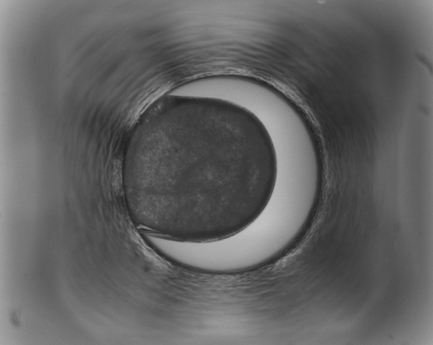 X0000099410889200805231601