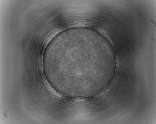 X0000099410890200805231601