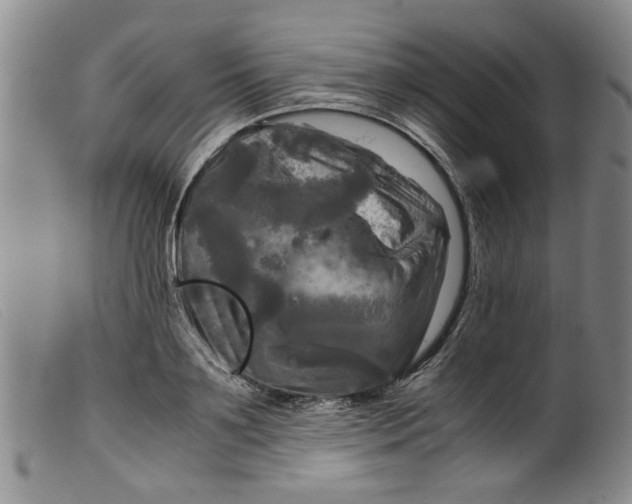 X0000099410891200805231601