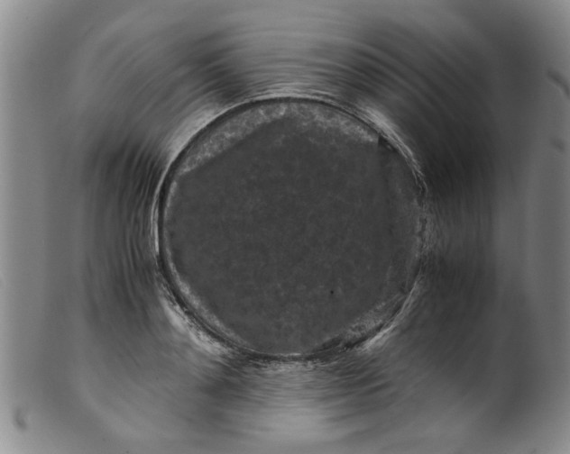 X0000099410892200805231601