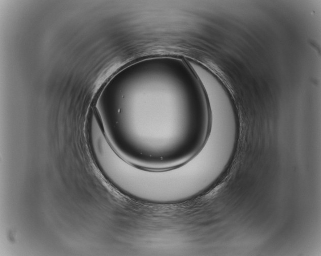 X0000099410893200805231601