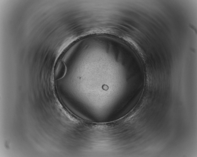 X0000099410894200805231601