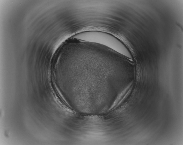 X0000099410896200805231601