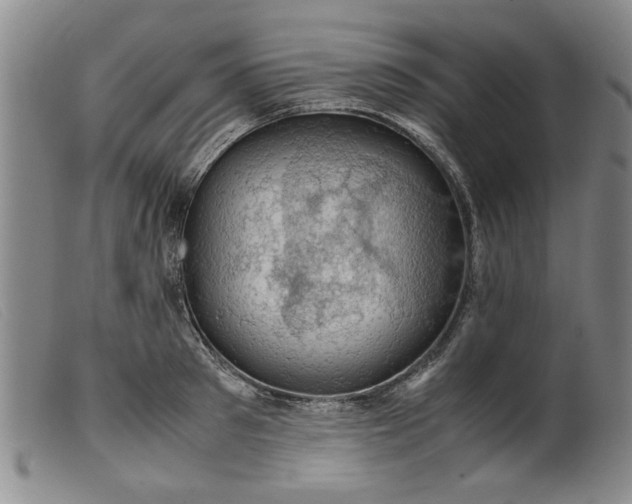 X0000099410897200805231601