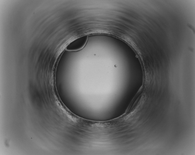 X0000099410898200805231601