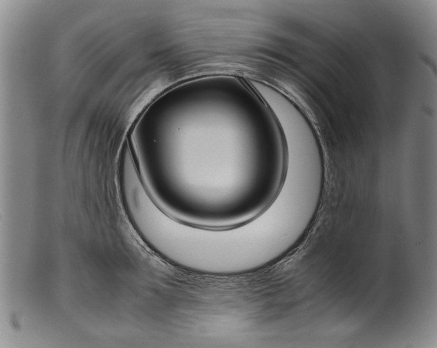 X0000099410899200805231601