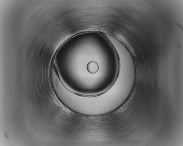 X0000099410900200805231601