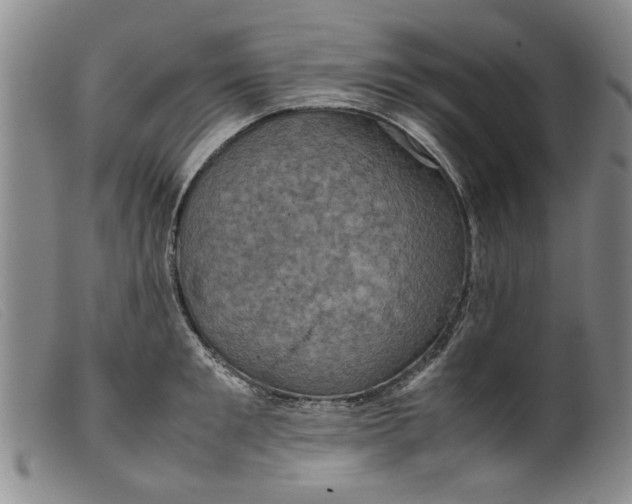 X0000099410901200805231601