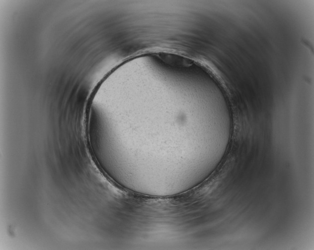 X0000099410902200805231601