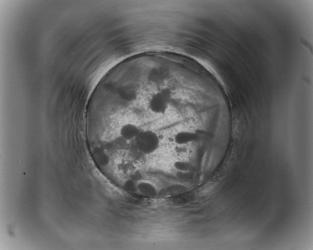 X0000099410903200805231601