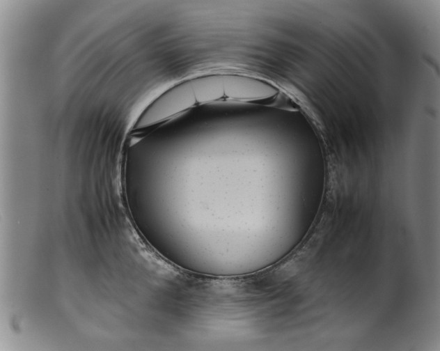 X0000099410904200805231601