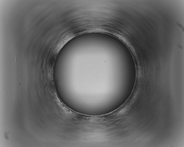 X0000099410905200805231601