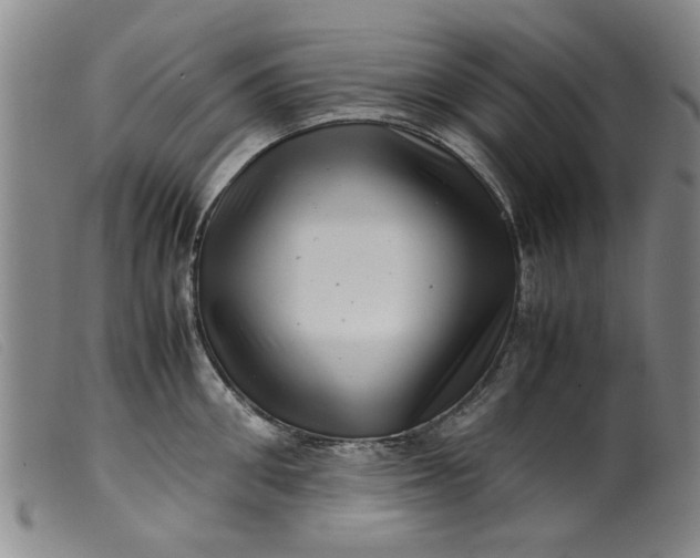 X0000099410906200805231601