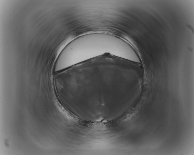 X0000099410907200805231601