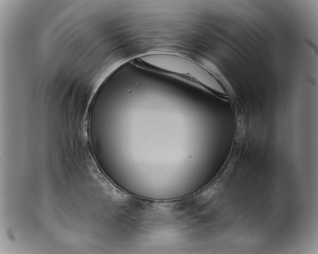 X0000099410908200805231601