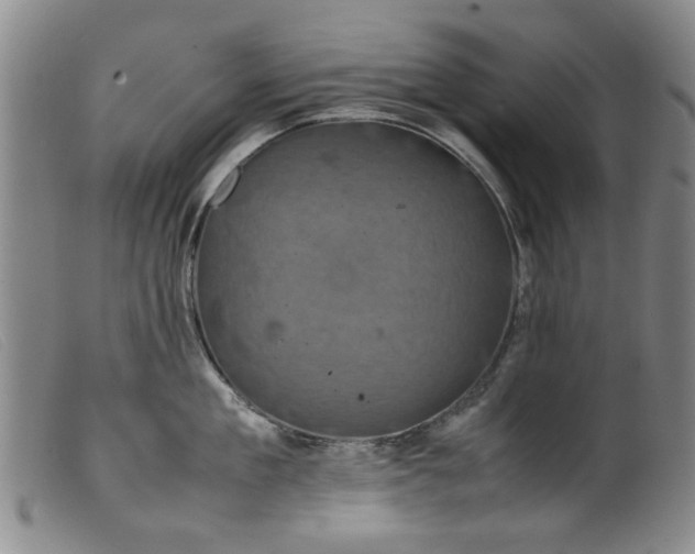 X0000099410909200805231601