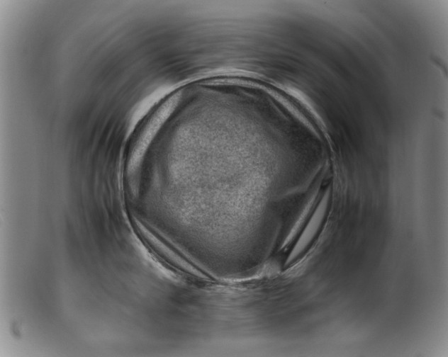 X0000099410910200805231601