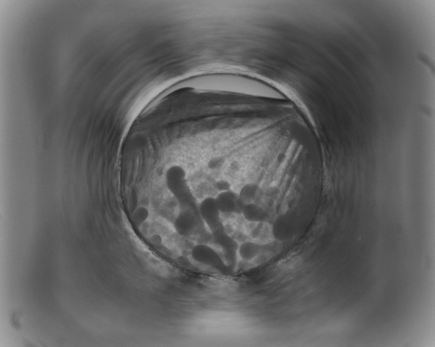 X0000099410911200805231601