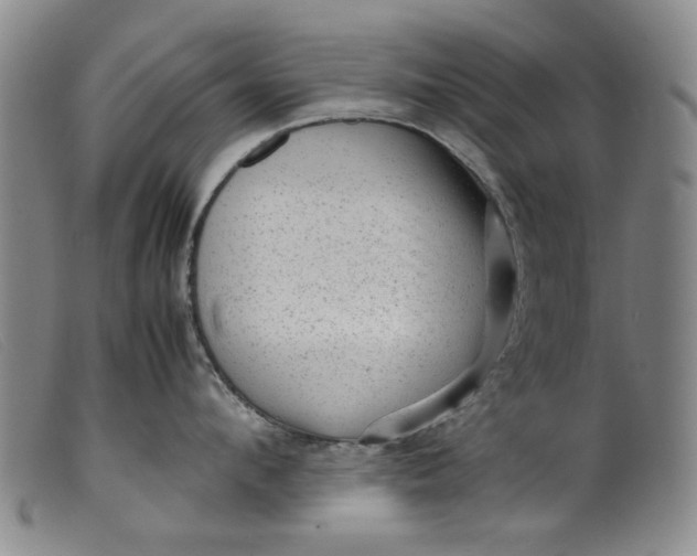 X0000099410912200805231601