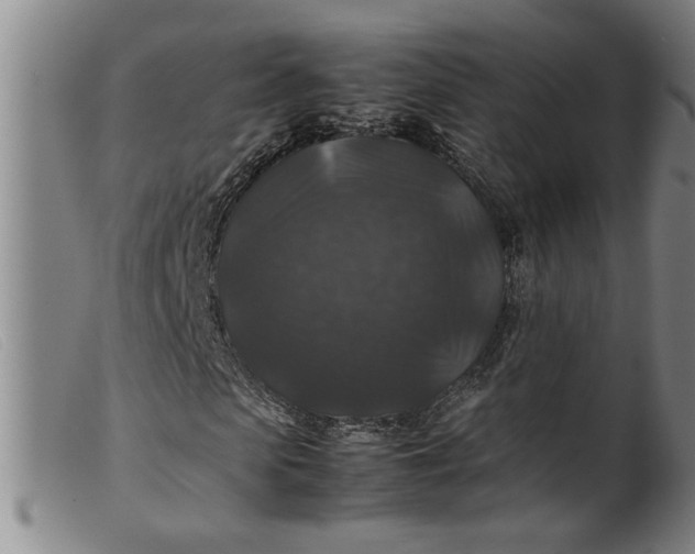 X0000099410913200805231600